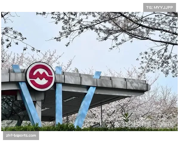 扎瓦赫里音乐与情感的深度探寻及其对现代音乐的影响